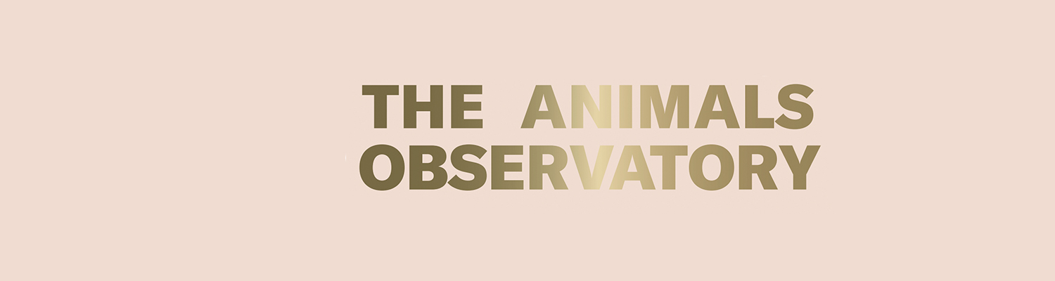 The Animals Observatory