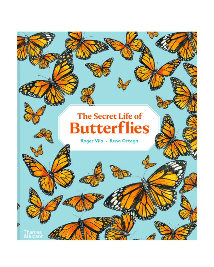 The Secret Life of Butterflies