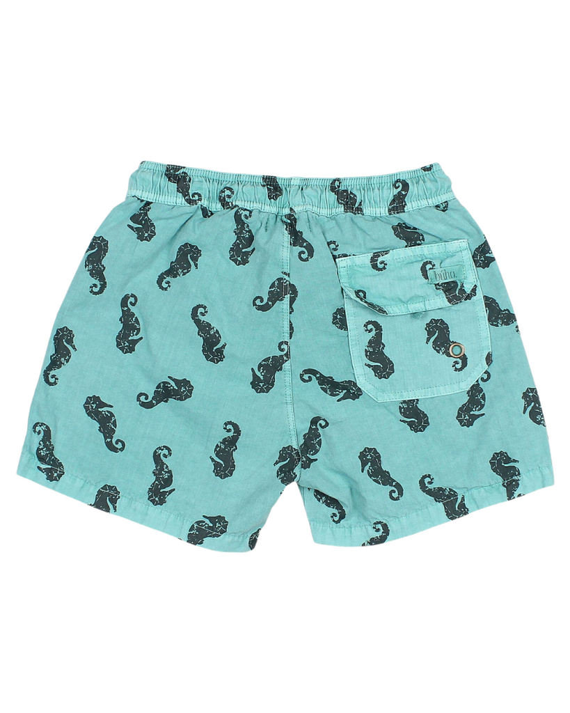 Seahorse Swim Shorts