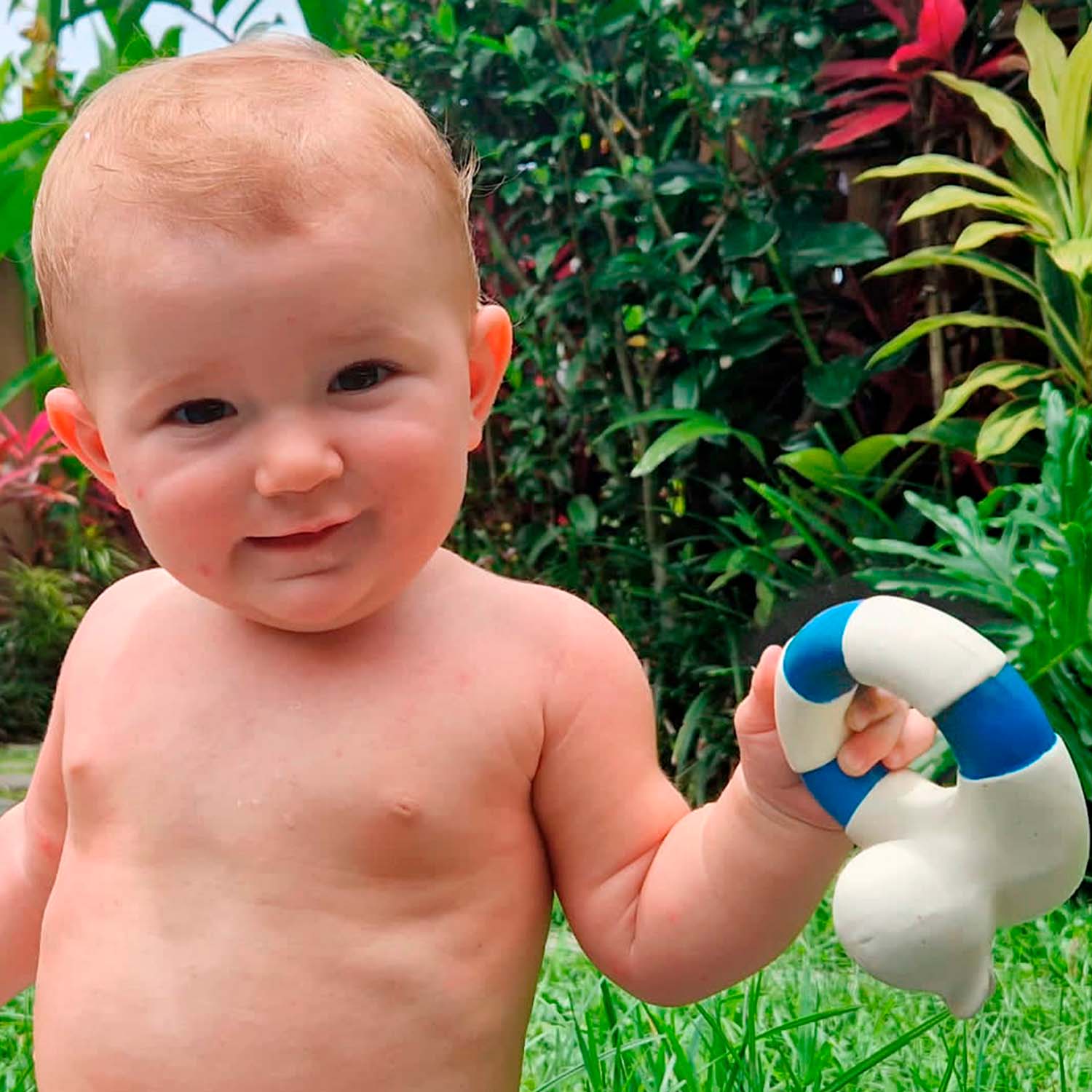 Baby – English Rabbit