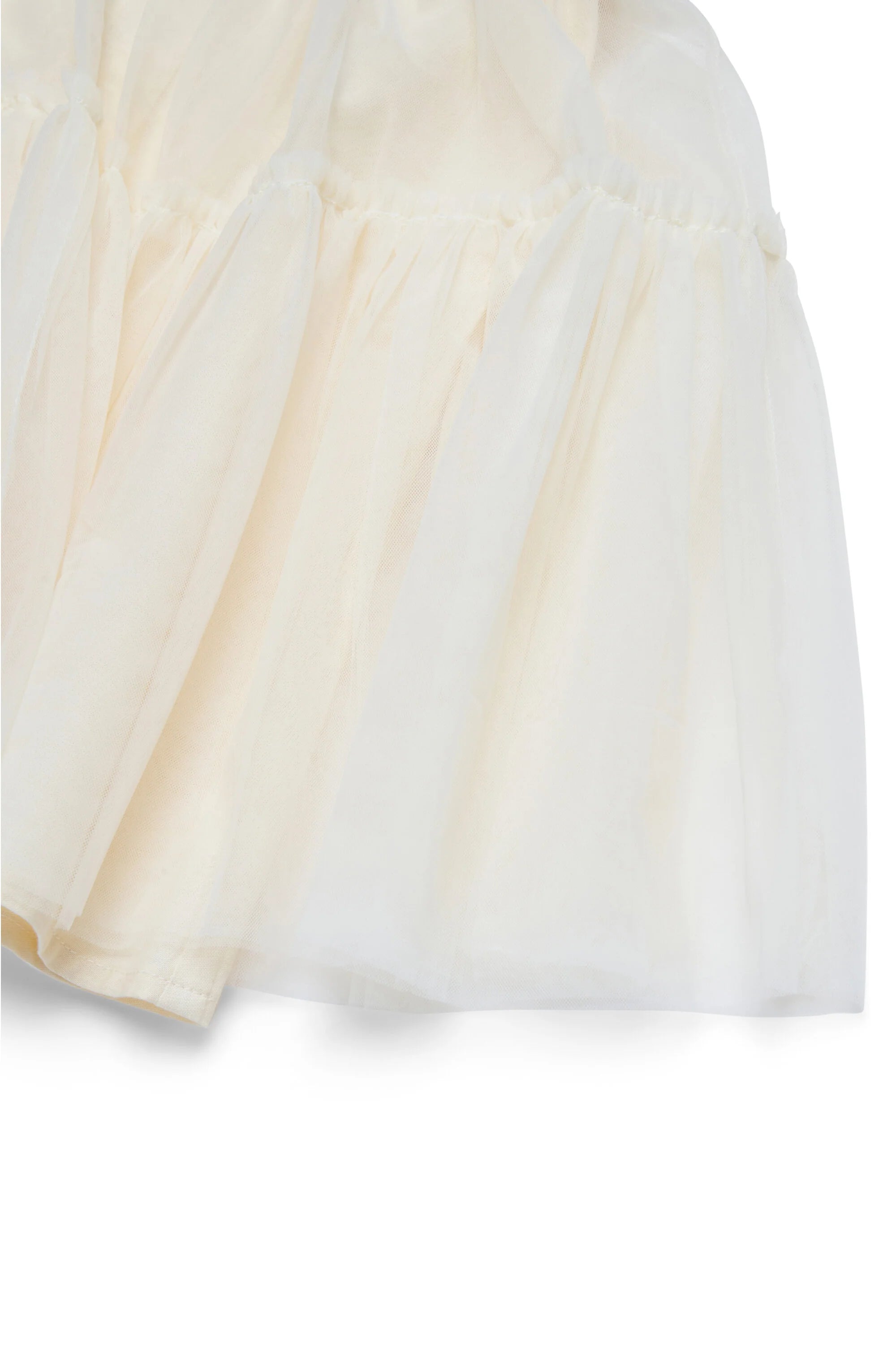 New Arrivals – English Rabbit