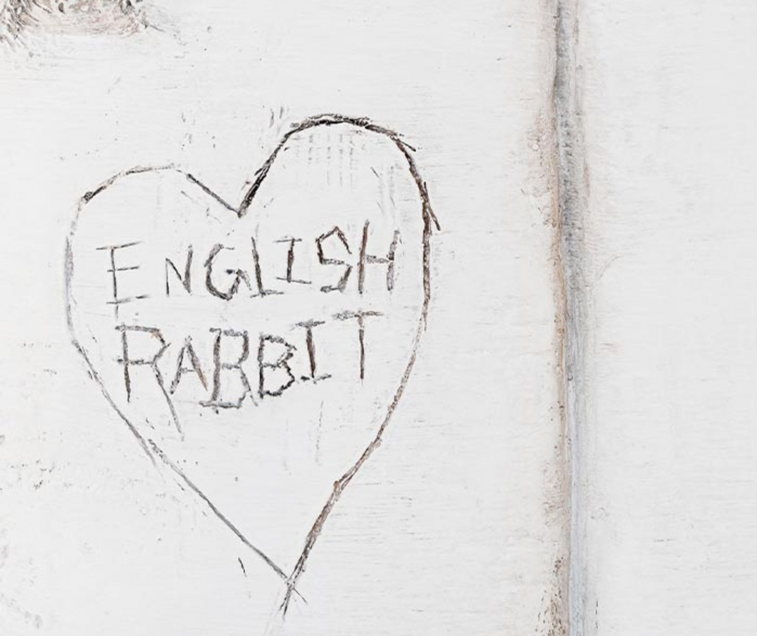 Kids Girl Shoes – Page 3 – English Rabbit