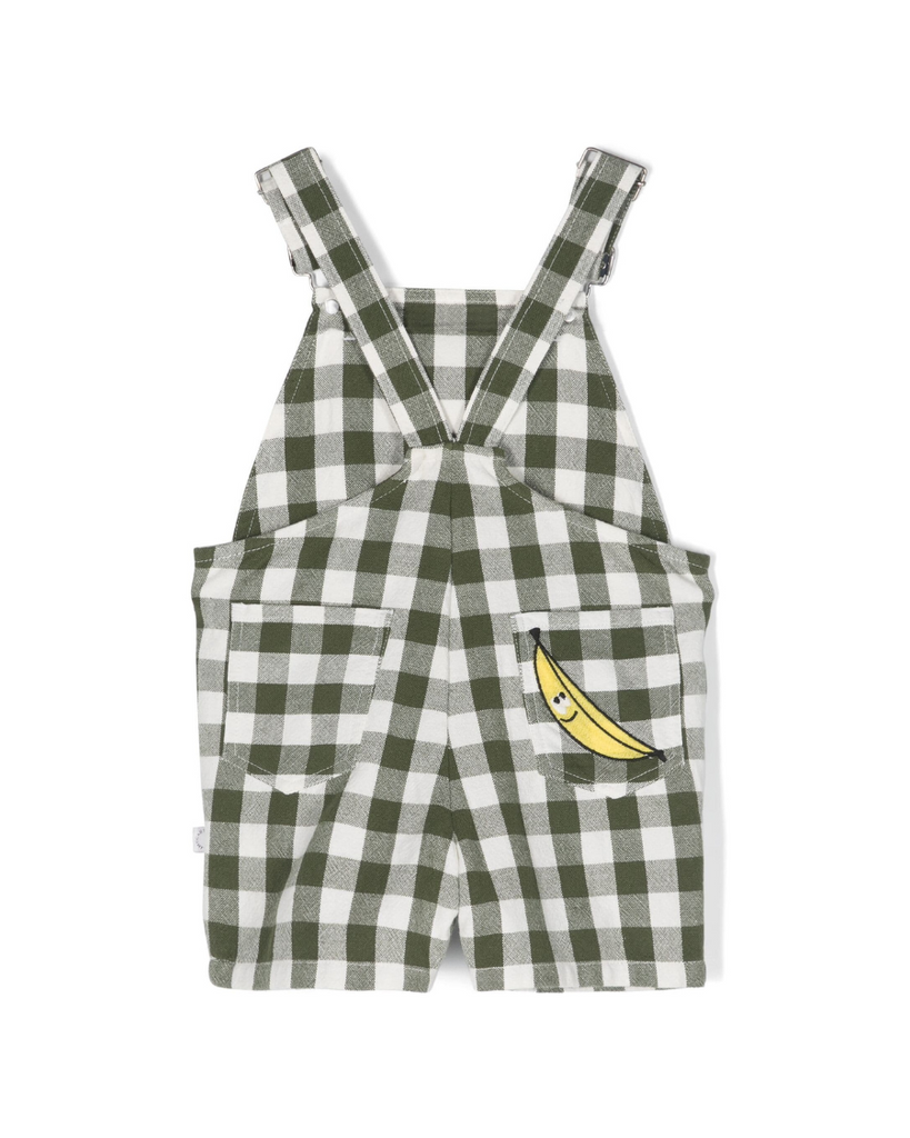 Baby Veggie Embroidery Gingham Dungarees