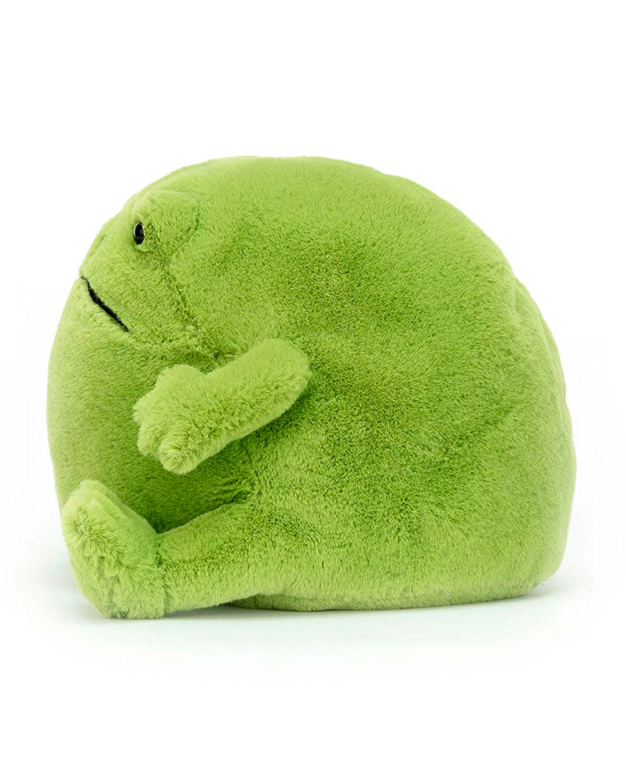 Ricky Rain Frog