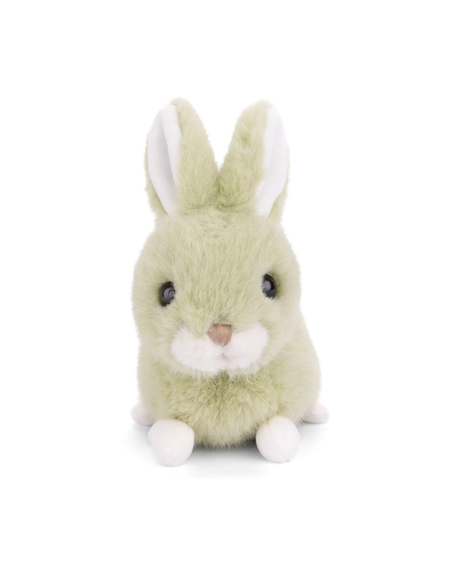 Lime Rabbit Baby Bunny - Lime – English Rabbit