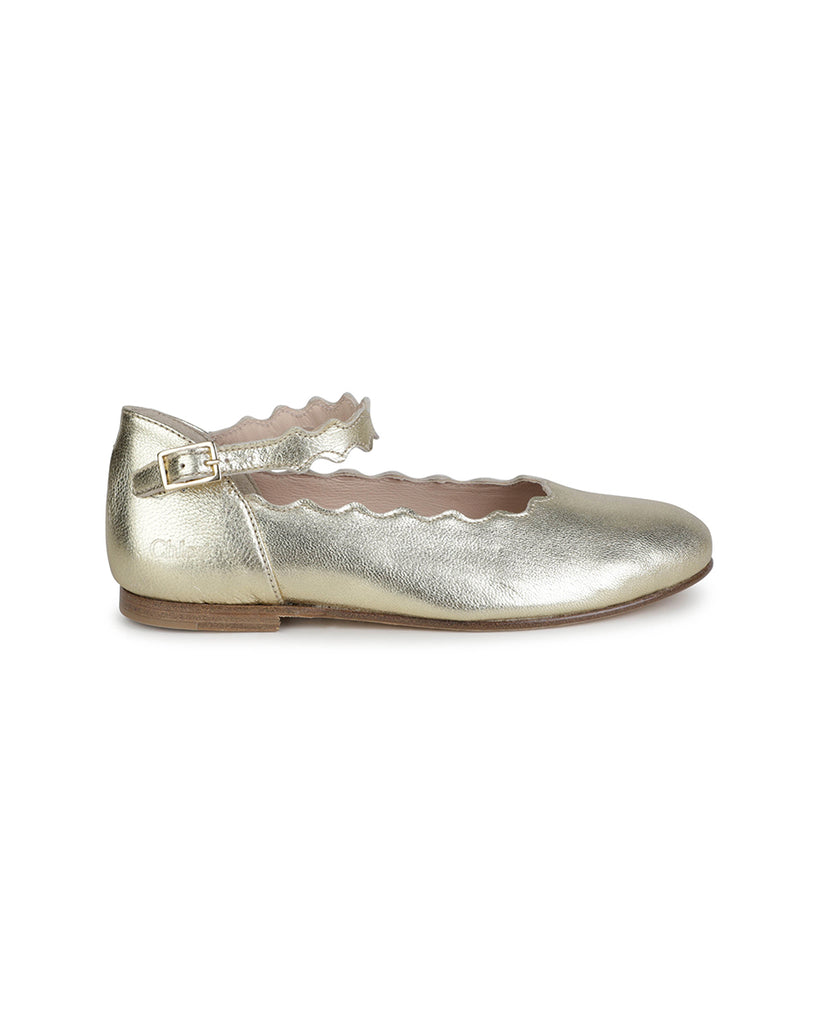 Lauren Ballerina Shoes