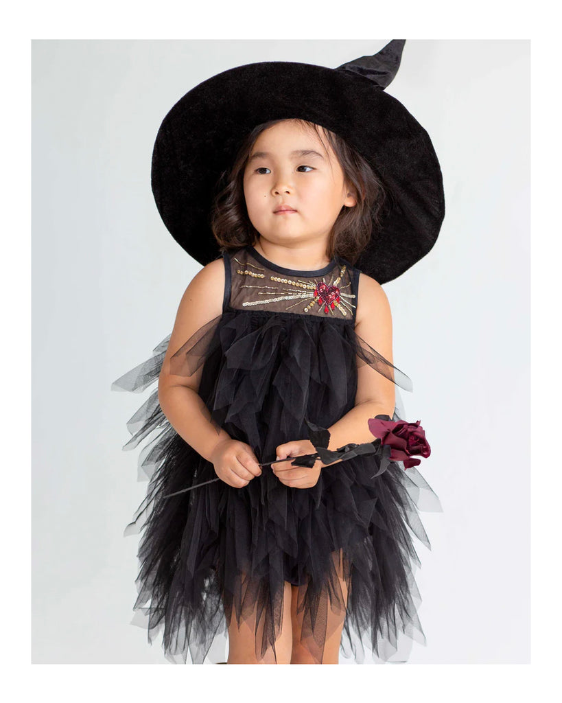 Baby Cold Hearted Tulle Dress